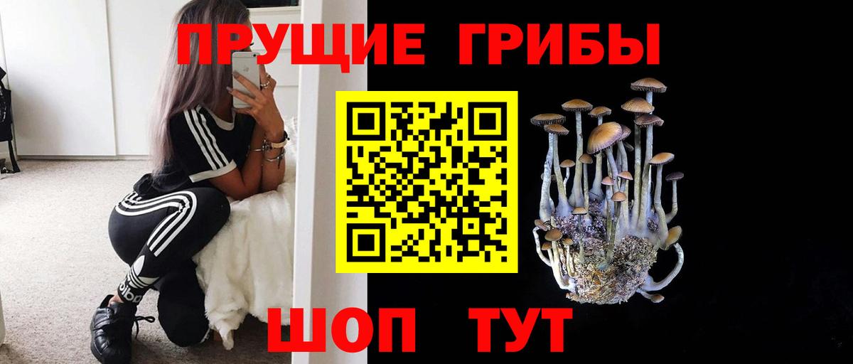 Галлюциногенные грибы мицелий  Галлюциногенные грибы ЛСД  Алейск  Вход с VPN 